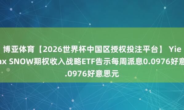 博亚体育【2026世界杯中国区授权投注平台】 YieldMax SNOW期权收入战略ETF告示每周派息0.0976好意思元