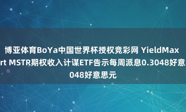 博亚体育BoYa中国世界杯授权竞彩网 YieldMax Short MSTR期权收入计谋ETF告示每周派息0.3048好意思元