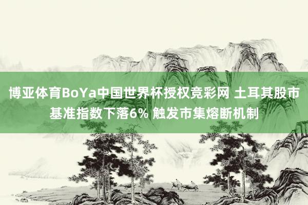 博亚体育BoYa中国世界杯授权竞彩网 土耳其股市基准指数下落6% 触发市集熔断机制