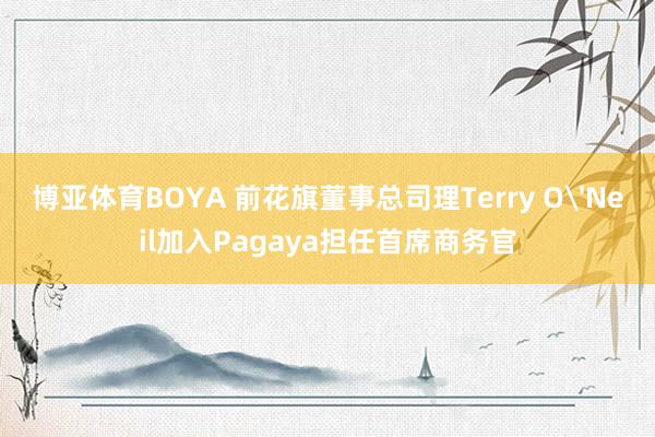 博亚体育BOYA 前花旗董事总司理Terry O'Neil加入Pagaya担任首席商务官