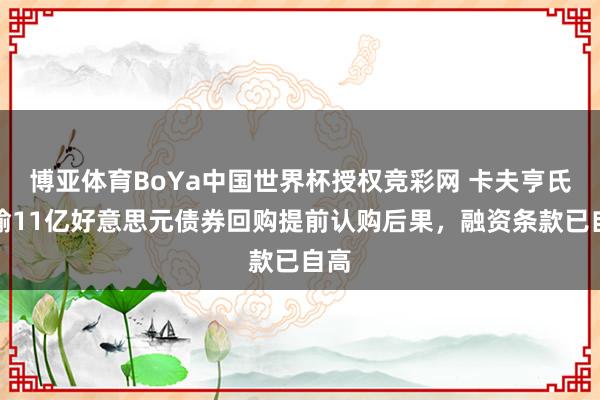 博亚体育BoYa中国世界杯授权竞彩网 卡夫亨氏晓喻11亿好意思元债券回购提前认购后果，融资条款已自高