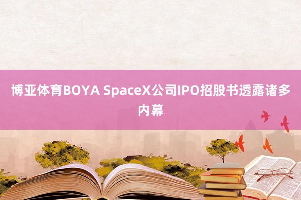 博亚体育BOYA SpaceX公司IPO招股书透露诸多内幕
