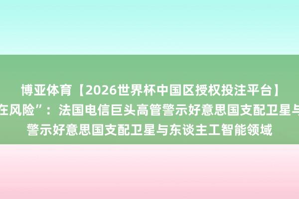 博亚体育【2026世界杯中国区授权投注平台】 “欧洲尚未认清潜在风险”：法国电信巨头高管警示好意思国支配卫星与东谈主工智能领域