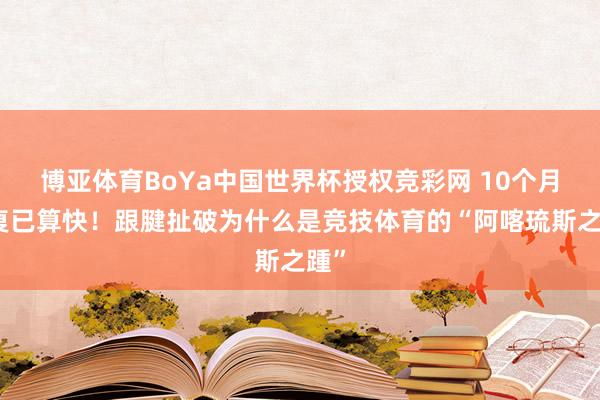 博亚体育BoYa中国世界杯授权竞彩网 10个月康复已算快！跟腱扯破为什么是竞技体育的“阿喀琉斯之踵”