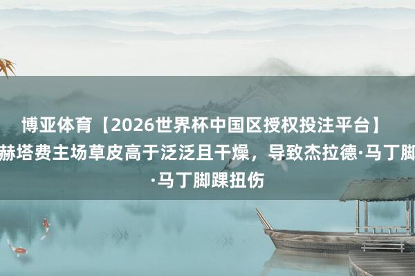 博亚体育【2026世界杯中国区授权投注平台】 每体：赫塔费主场草皮高于泛泛且干燥，导致杰拉德·马丁脚踝扭伤