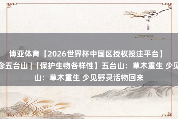 博亚体育【2026世界杯中国区授权投注平台】 山西卫视报说念五台山 |【保护生物各样性】五台山：草木重生 少见野灵活物回来