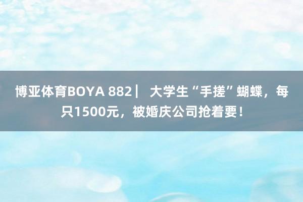 博亚体育BOYA 882 ▏大学生“手搓”蝴蝶，每只1500元，被婚庆公司抢着要！