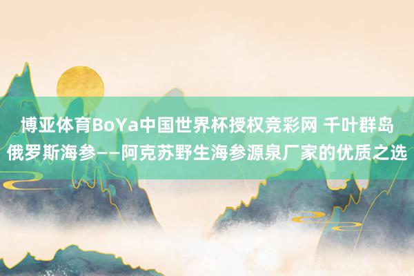 博亚体育BoYa中国世界杯授权竞彩网 千叶群岛俄罗斯海参——阿克苏野生海参源泉厂家的优质之选