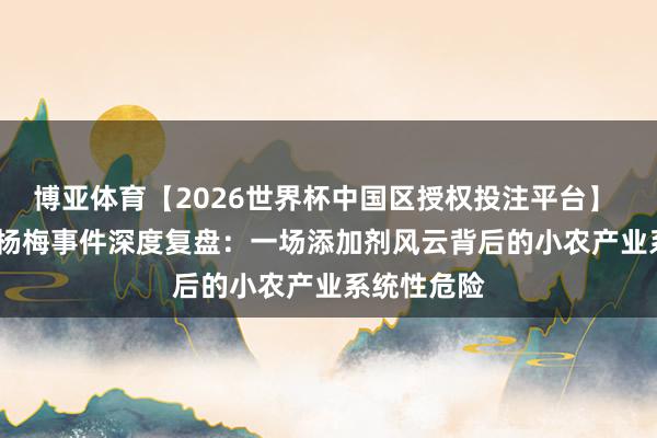 博亚体育【2026世界杯中国区授权投注平台】 2026漳州杨梅事件深度复盘：一场添加剂风云背后的小农产业系统性危险