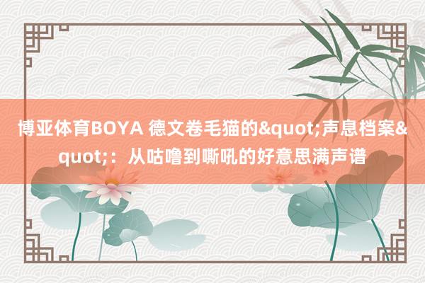 博亚体育BOYA 德文卷毛猫的"声息档案"：从咕噜到嘶吼的好意思满声谱