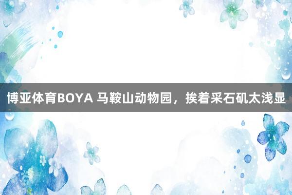 博亚体育BOYA 马鞍山动物园，挨着采石矶太浅显