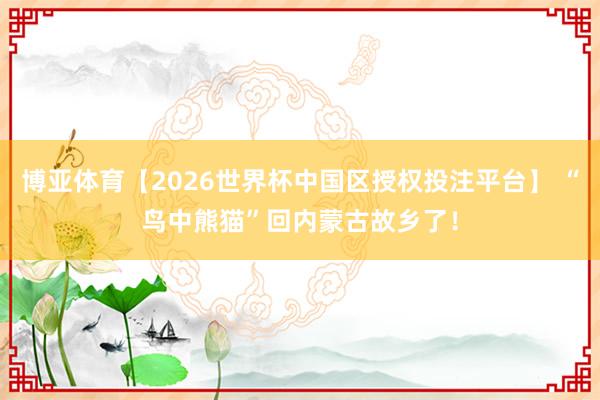 博亚体育【2026世界杯中国区授权投注平台】 “鸟中熊猫”回内蒙古故乡了！