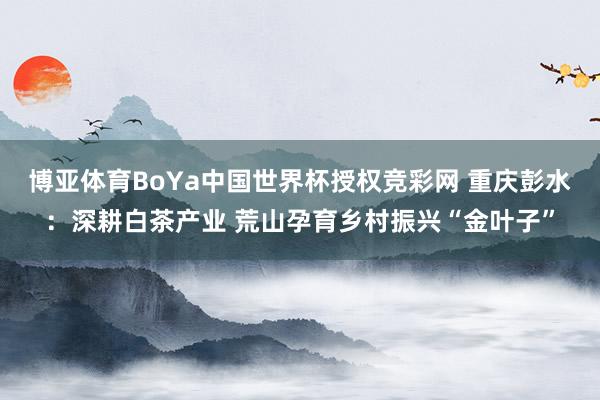博亚体育BoYa中国世界杯授权竞彩网 重庆彭水：深耕白茶产业 荒山孕育乡村振兴“金叶子”