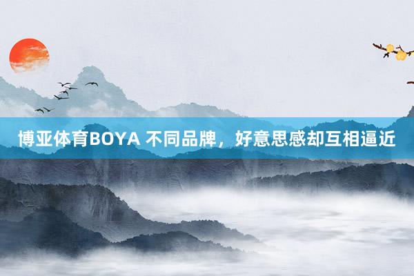 博亚体育BOYA 不同品牌，好意思感却互相逼近