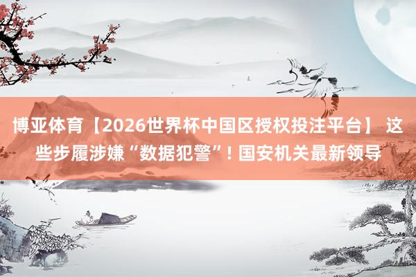 博亚体育【2026世界杯中国区授权投注平台】 这些步履涉嫌“数据犯警”! 国安机关最新领导