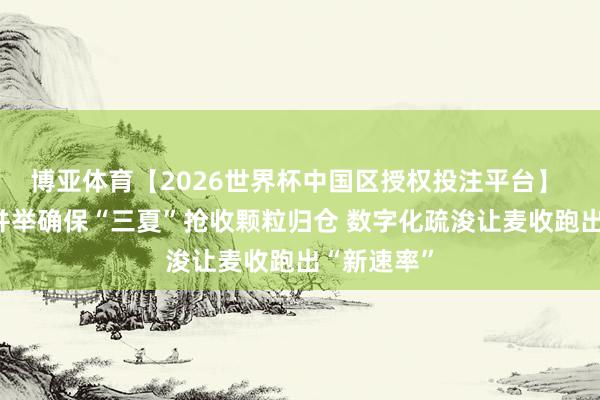 博亚体育【2026世界杯中国区授权投注平台】 各地多措并举确保“三夏”抢收颗粒归仓 数字化疏浚让麦收跑出“新速率”