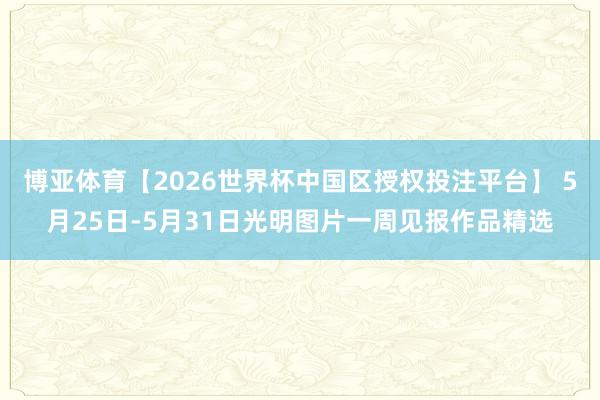 博亚体育【2026世界杯中国区授权投注平台】 5月25日-5月31日光明图片一周见报作品精选