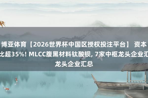 博亚体育【2026世界杯中国区授权投注平台】 资本占比超35%! MLCC腹黑材料钛酸钡， 7家中枢龙头企业汇总