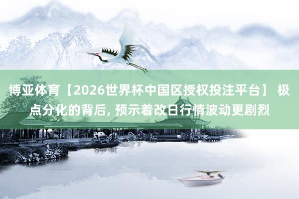 博亚体育【2026世界杯中国区授权投注平台】 极点分化的背后， 预示着改日行情波动更剧烈