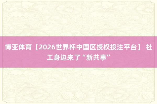 博亚体育【2026世界杯中国区授权投注平台】 社工身边来了“新共事”
