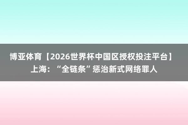 博亚体育【2026世界杯中国区授权投注平台】 上海：“全链条”惩治新式网络罪人