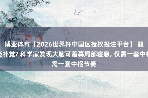 博亚体育【2026世界杯中国区授权投注平台】 醒着也能补觉? 科学家发现大脑可落幕局部寝息， 仅需一套中枢节奏