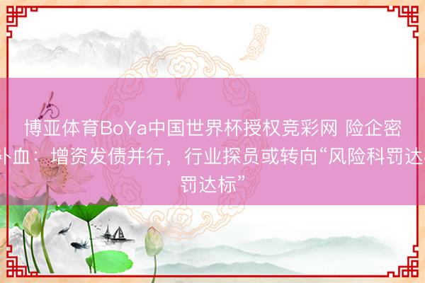 博亚体育BoYa中国世界杯授权竞彩网 险企密集补血:增资发债并行,行业探员或转向“风险科罚达标”
